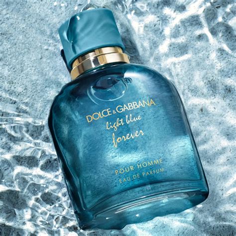 dolce gabbana light blue skroutz|dolce gabbana blue light price.